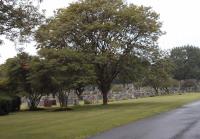 Mount Saint Benedict Cemetery image 5